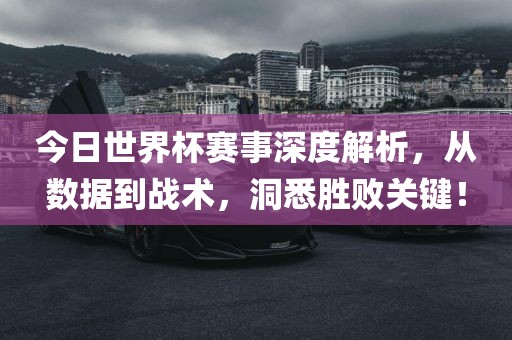 今日世界杯赛事眉山市正发家政服务有限公司深度解析，从数据到战术，洞悉胜败关键！