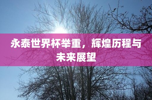 永泰世界杯举重，辉煌历程与未来展望