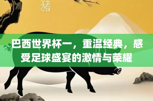 巴西世界杯一，重温经典，感受足球盛宴的激情与荣耀
