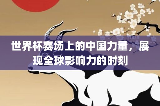 世界杯赛场上的中国力量，展现全球影响力的时刻