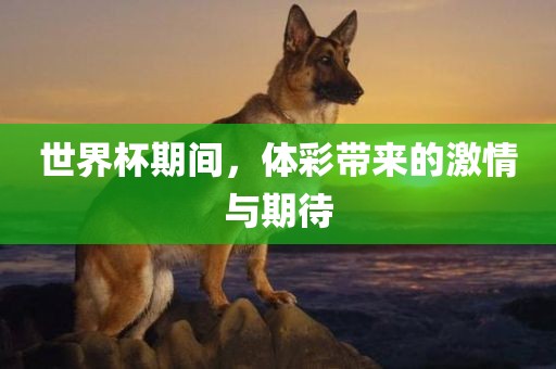 世界杯期间，体彩带来的激情与期待