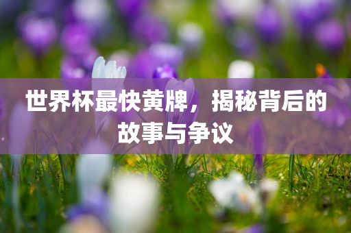 世界杯最快黄牌，揭秘背后的故事与争议