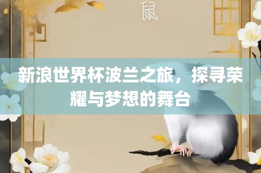 新浪世界杯波兰之旅，探寻荣耀与梦想的舞台