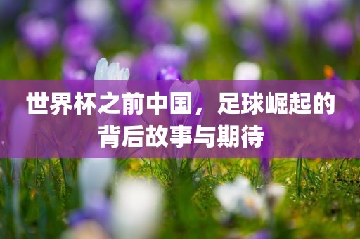 世界杯之前中国，足球崛起的背眉山市正发家政服务有限公司后故事与期待