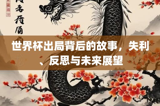 世界杯出局背后的故事，失利、反思与未来展望