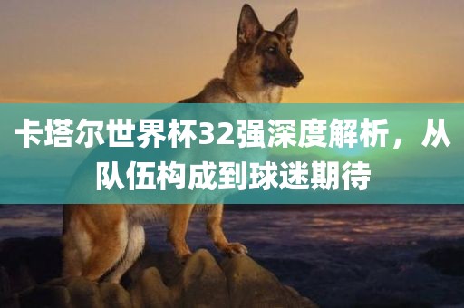 卡塔尔世界杯32强深度解析，从队伍构成到球迷期待