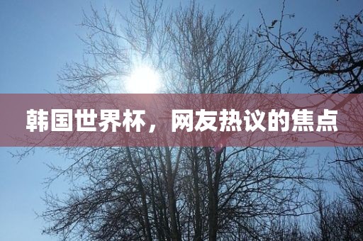 韩国世界杯，网友热议的焦点