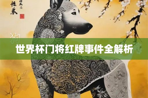 世界杯门将红牌事件全解析