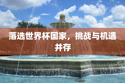 落选世界杯国家，挑战与机遇并存