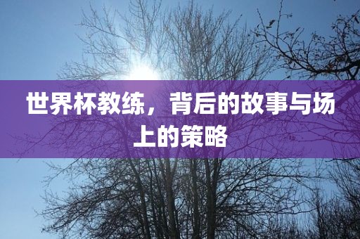 世界杯教练，背后的故事与场上的策略