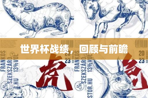 世界杯战绩，回顾与前瞻
