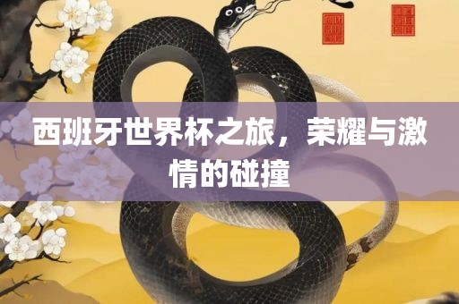 西班牙世界杯之旅，荣耀与激情的碰撞