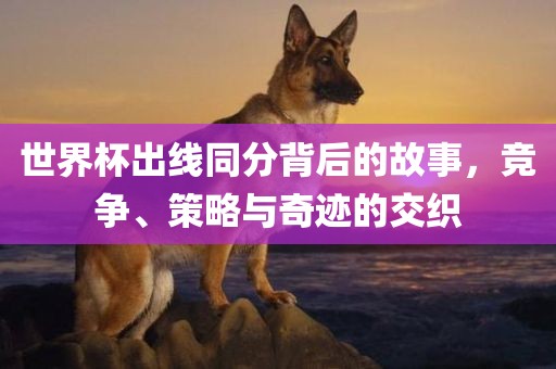 世界杯出线同分背后的故事，竞争、策略与奇迹的交织