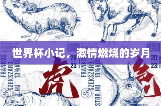 世界杯小记，激情燃烧的岁月
