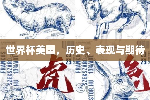 世界杯美国，历史、表现与期待
