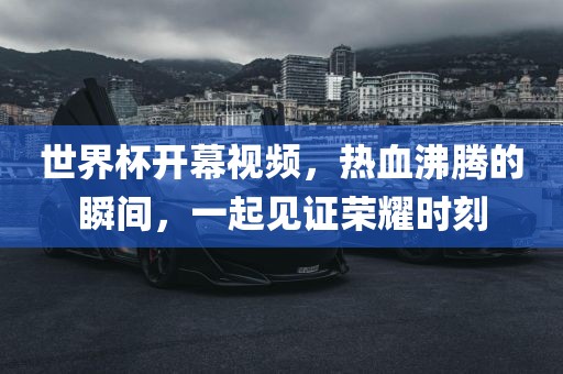 世界杯开幕视频，热血沸腾的瞬间，一起见证荣耀时刻眉山市正发家政服务有限公司