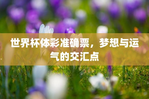 世界杯体彩准确票，梦想与运气的交汇点