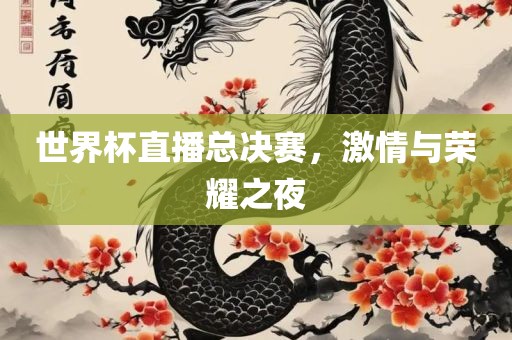 世界杯直播总决赛，激情与荣耀之夜